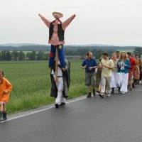 Pollenflugfest