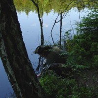 Rituelle Reinigung am See