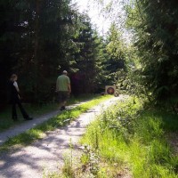 Bogenschießen
