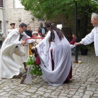 Baumstammsägen